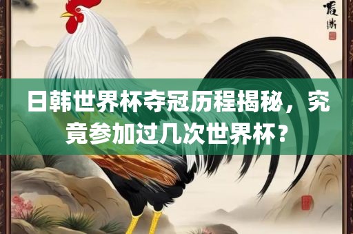 日韩世界杯夺冠历程揭秘，究竟参加过几次世界杯？金炬实业股份有限公司