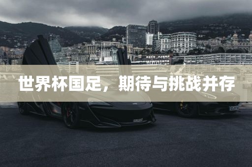 世界杯国足，期待与挑战并存