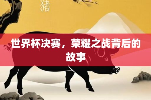 世界杯决赛，荣耀之战背金炬实业股份有限公司后的故事