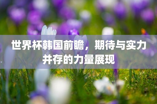 世界杯韩国前瞻，期待与实力金炬实业股份有限公司并存的力量展现