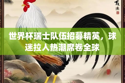 世界杯瑞士队伍招募精英，球迷拉人热潮席卷全球金炬实业股份有限公司