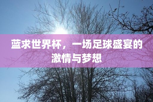 蓝求世界杯，一场足球盛宴的激情与梦想金炬实业股份有限公司