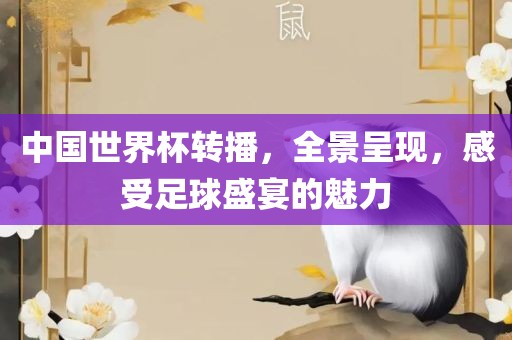 足球盛宴 第6页