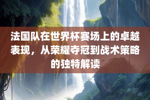 法国队在世界杯赛场上的卓越表现，从荣耀夺冠到战术策略的独特解读