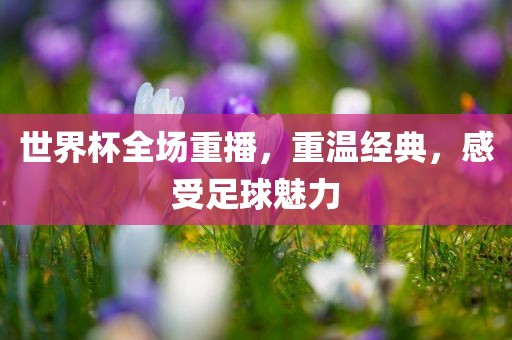 世界杯全场重播，重温经典，感受足球魅力