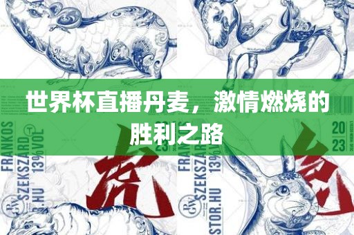 世界杯直播丹麦，激情燃烧的胜利之路