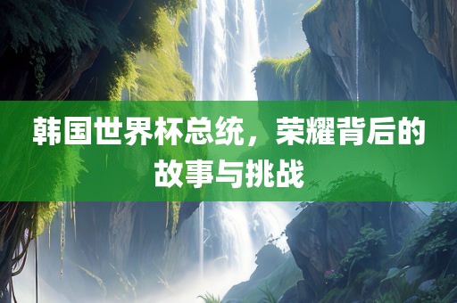 韩国世界杯总统，荣耀背后的故事与挑战