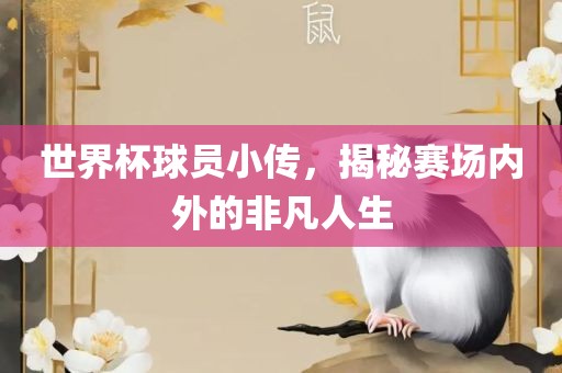 世界杯球员小传，揭秘赛场内外的非凡人生