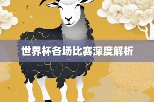 世界杯各场比赛深度解析金炬实业股份有限公司