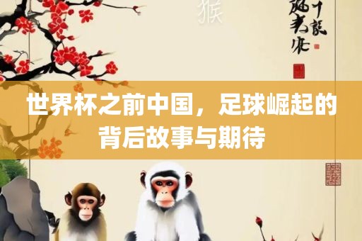世界金炬实业股份有限公司杯之前中国，足球崛起的背后故事与期待