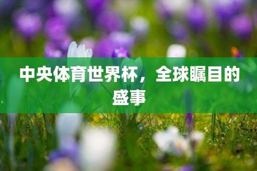 中央体育世界杯，全球瞩目的盛事金炬实业股份有限公司