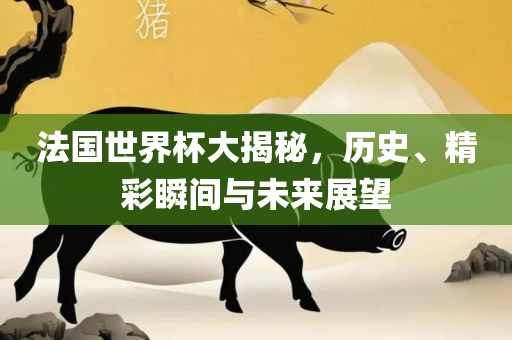 法国世界杯大揭秘，历史、精彩瞬间与未来展望金炬实业股份有限公司