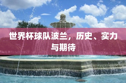 世界杯球队波兰，历史、实力与期待