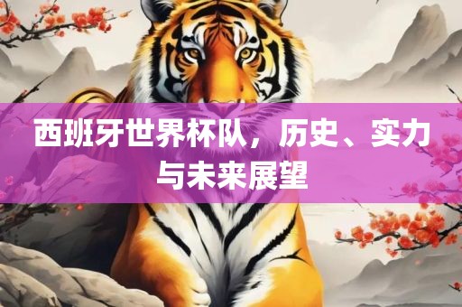 西班牙世界杯队，历史、实力与未来展望金炬实业股份有限公司