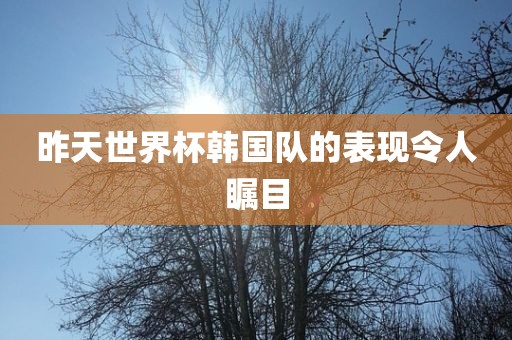 昨天世界杯韩国队的表现令人瞩目金炬实业股份有限公司