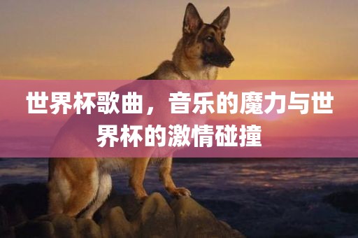 世界杯歌曲，音乐的魔力与世界杯的激情碰撞