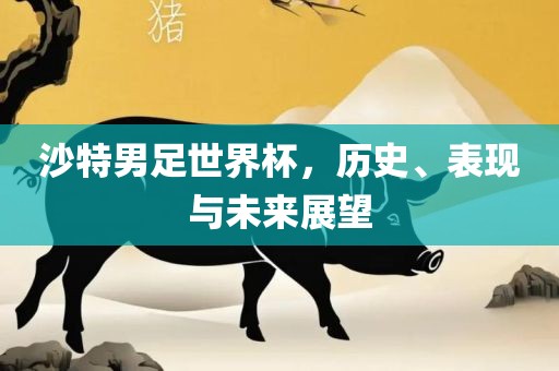 沙特男足世界杯，历史、金炬实业股份有限公司表现与未来展望