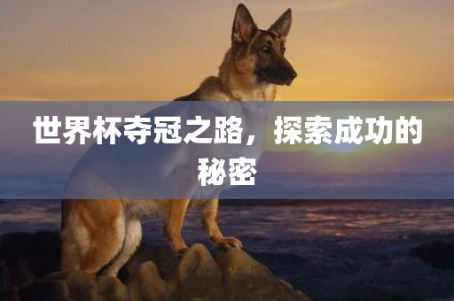 世界杯夺冠之路，探索成功的秘密金炬实业股份有限公司
