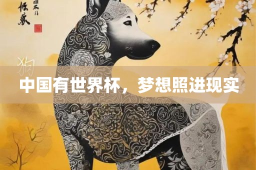 中国有世界杯，梦想照进现实