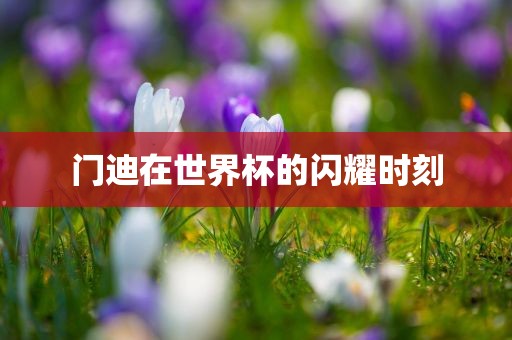 hongguoxiang 第4页