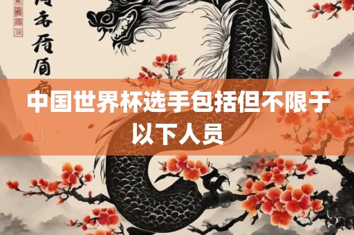 中国世界杯选手包括但不限于以下人员