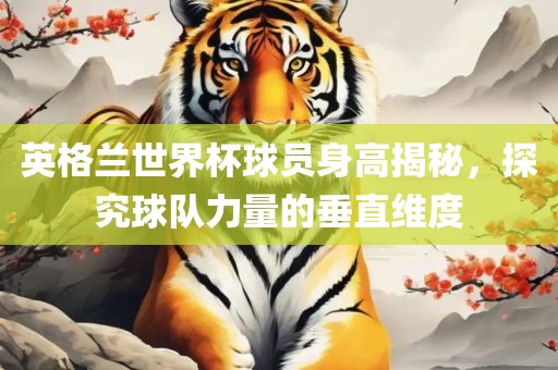 英格兰世界杯球员身高揭秘，探究球队力量的垂直维度金炬实业股份有限公司
