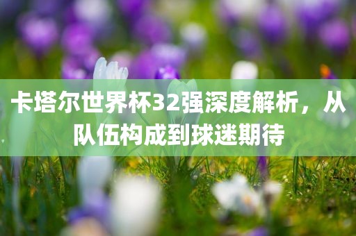卡塔尔世界杯32强深度解析，从队伍构成到球迷期待