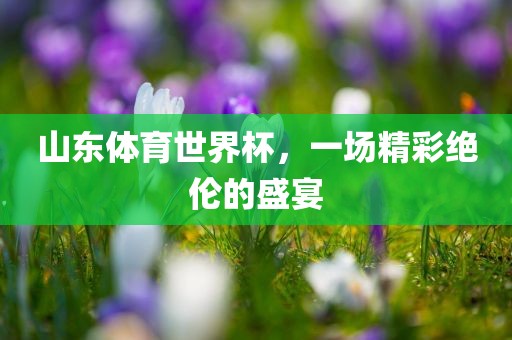 山东体育世界杯，一场精彩绝伦金炬实业股份有限公司的盛宴