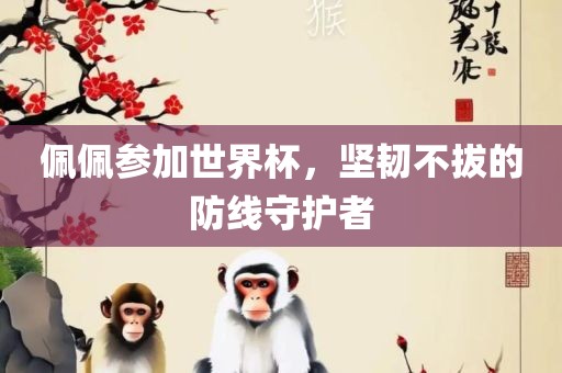 佩佩参加世界杯，坚韧不拔的防线守护者