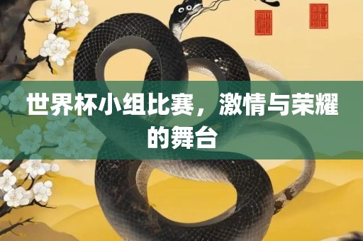 世界杯小组比赛，金炬实业股份有限公司激情与荣耀的舞台