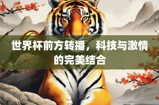 世界杯前方转播，科技与激情的完美结合