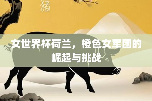 女世界杯荷兰，橙色女军团的崛起与挑战金炬实业股份有限公司