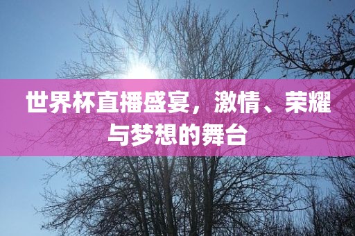 世界杯直播 第4页