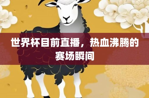 世界杯目前直播，热血沸腾的赛场瞬间