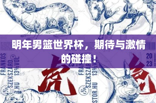 明年男篮世界杯，期待与激情的碰撞！