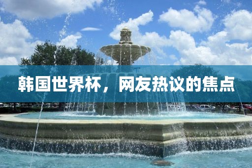 韩国世界杯，网友热议的焦点