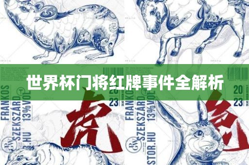 世界杯门将红牌事件全解析