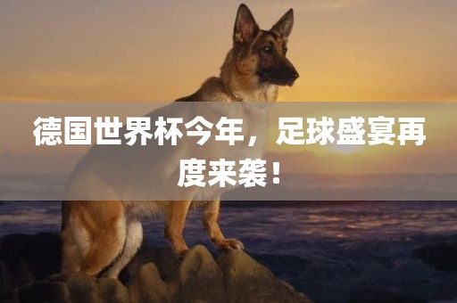 德国世界杯今年，足球盛宴再度来袭！金炬实业股份有限公司