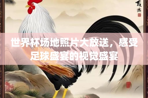世界杯场地照片大放送，感受足球盛宴的视觉盛宴