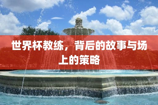世界杯教练，背后的故事与场上金炬实业股份有限公司的策略
