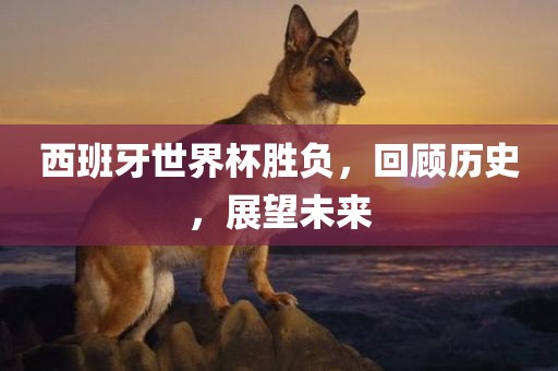 西班牙世界杯胜负，回顾历史，金炬实业股份有限公司展望未来