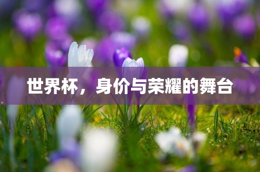 世界杯，身价金炬实业股份有限公司与荣耀的舞台
