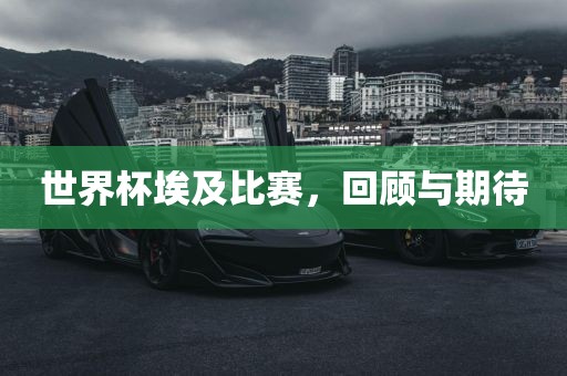 世界杯埃及比赛，回顾与期待