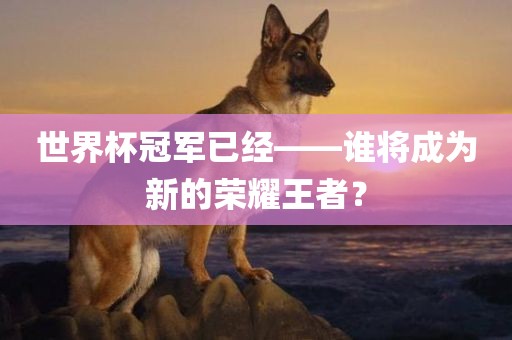 世界杯冠军已经——谁将成为新的荣耀王者？金炬实业股份有限公司