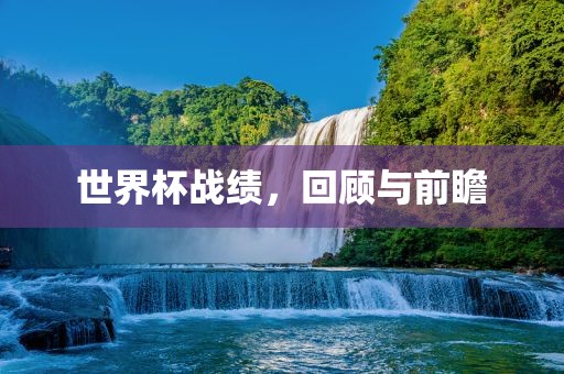 世界杯战绩，回顾与前瞻