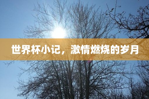 世界杯小记，激情燃烧的岁月