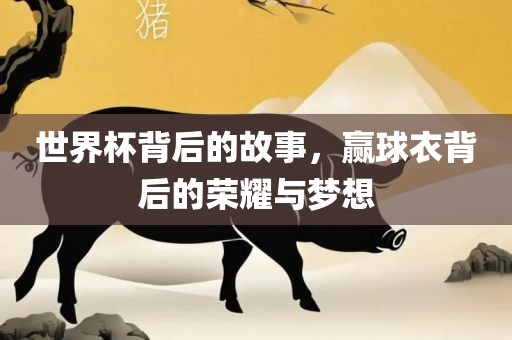 世界杯背后的故事，赢球衣背后的荣耀与梦想