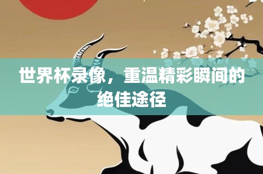 世界杯录像，重温精彩瞬间的绝佳途径
