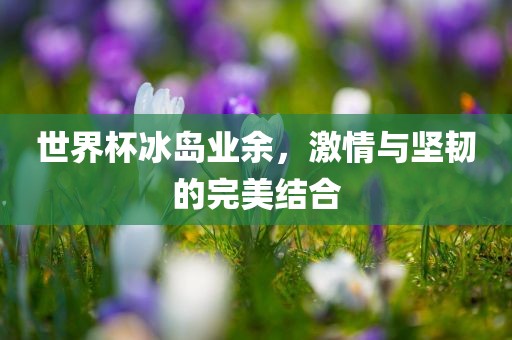 世界杯冰岛业余，激情与坚韧的完金炬实业股份有限公司美结合