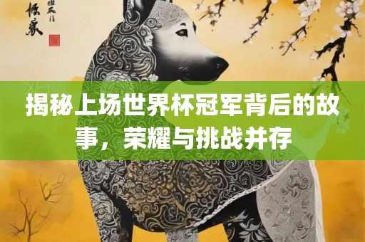 揭秘上场世界杯冠军背后的故事，荣耀与挑战并存